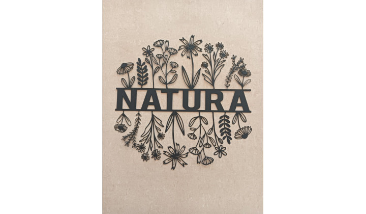 Fotka pre článok Ako sa z chátrajúcej obecnej budovy stala Lesná škola NATURA