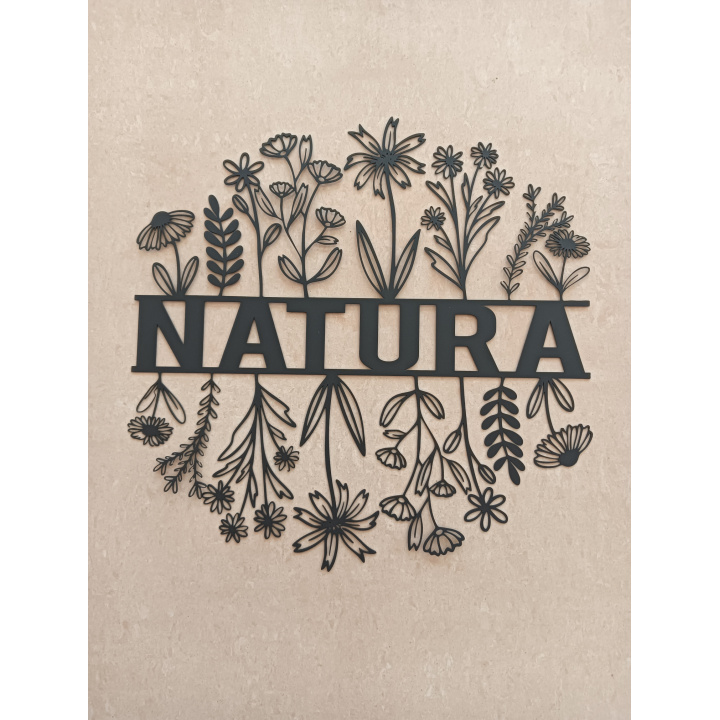 Menšia fotka pre článok Ako sa z chátrajúcej obecnej budovy stala Lesná škola NATURA