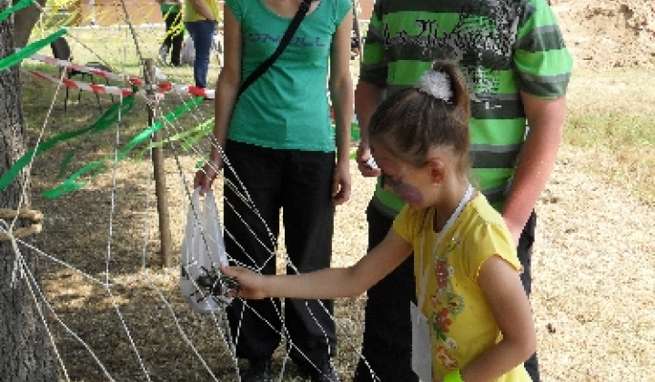 MDD 2012 - 