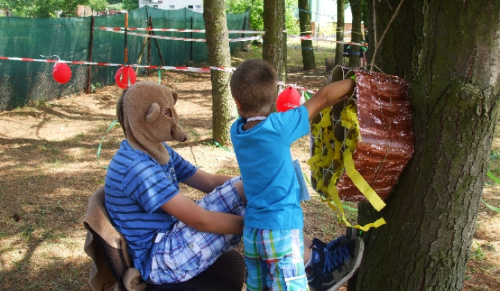 MDD 2012 - 