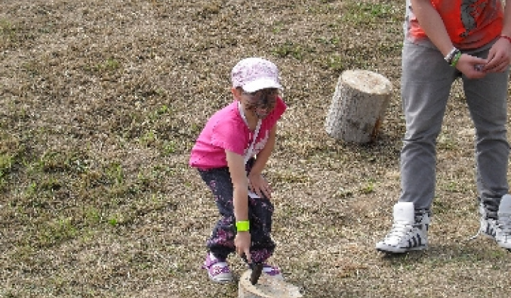MDD 2012 - 