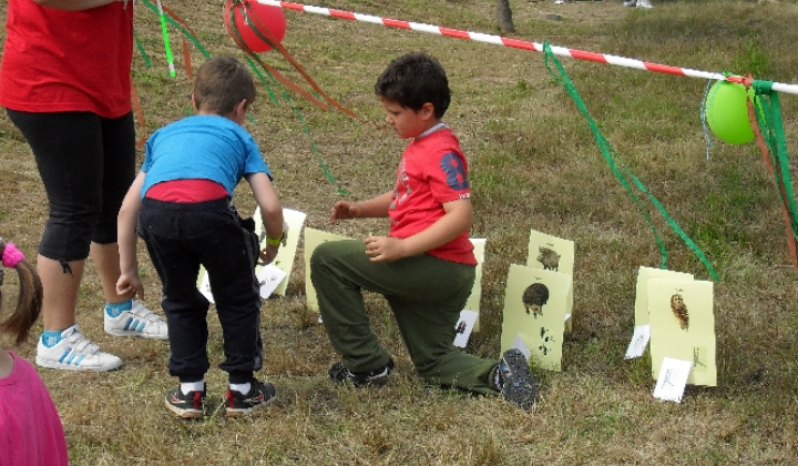 MDD 2012 - 