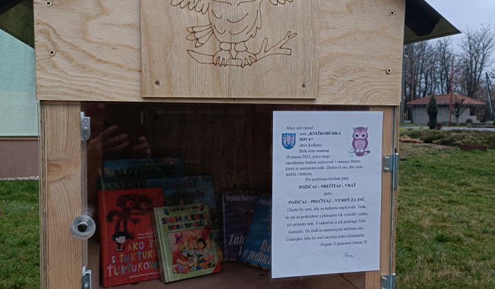 Aktuality / Knižnica v prírode - ’’KNIŽKOBÚDKA SOVA’’ - foto