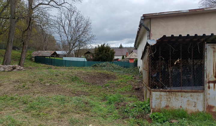 Aktuality / Poľovníci pomáhali pri čistení lesíka - foto