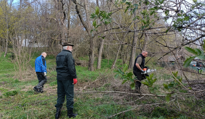 Aktuality / Poľovníci pomáhali pri čistení lesíka - foto