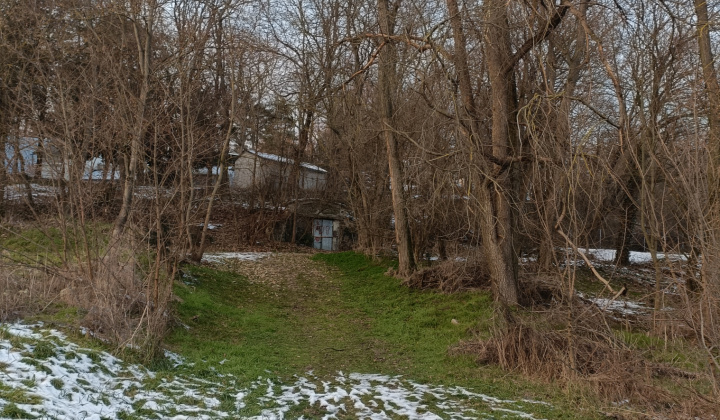 Aktuality / Poľovníci pomáhali pri čistení lesíka - foto