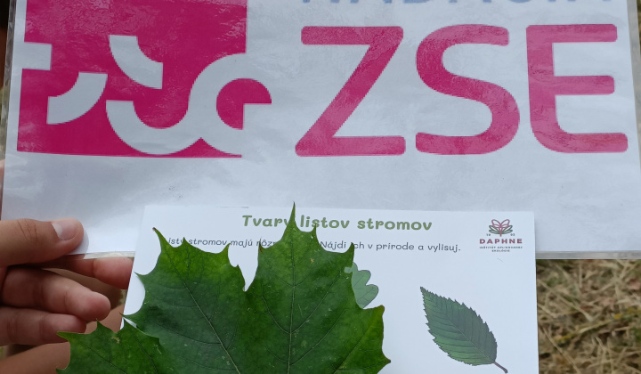 Aktuality / Enviromentálny deň v rámci projektu 