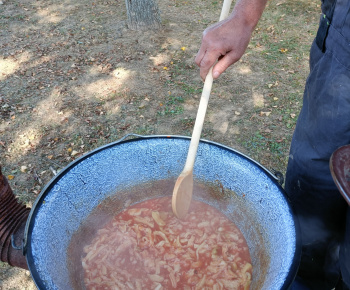 Aktuality / Ako dopadli 