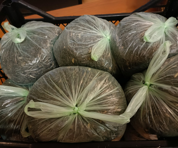 Aktuality / Súťaž o vtáčie búdky s krmivom - foto