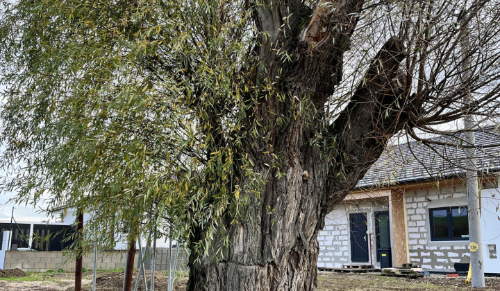 Aktuality / Výsledky súťaže o vtáčiu búdku s krmivom - foto