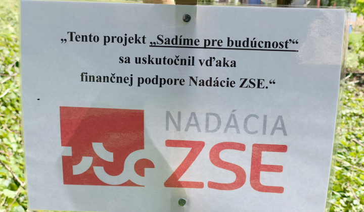 Aktuality / Výsadba stromčekov - 