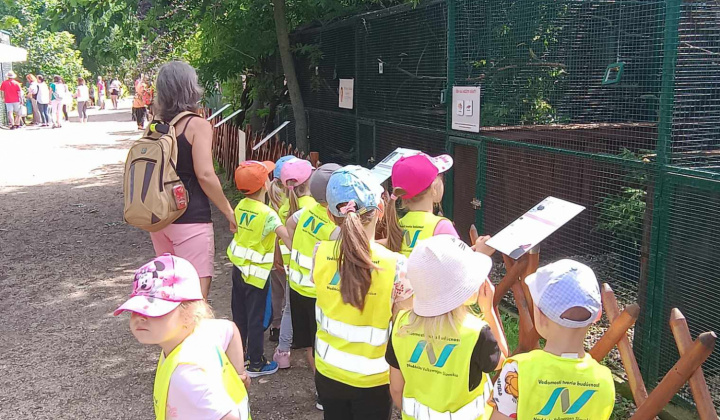 Aktuality / Výlet detí z MŠ Krškany-Pantherapark Turá - foto