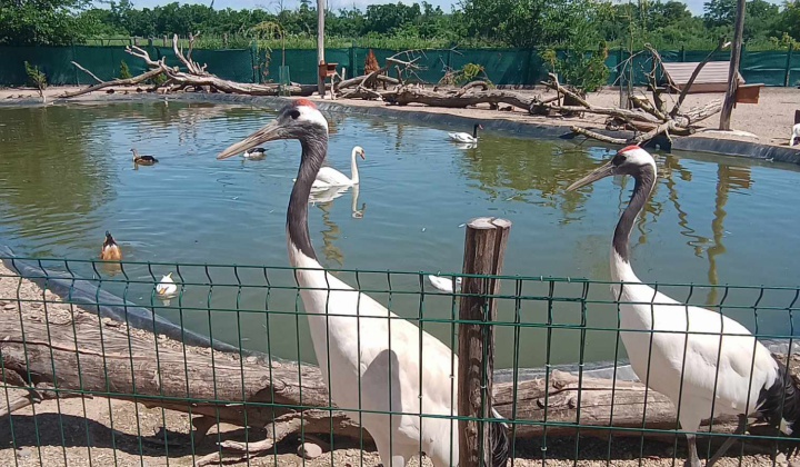Aktuality / Výlet detí z MŠ Krškany-Pantherapark Turá - foto