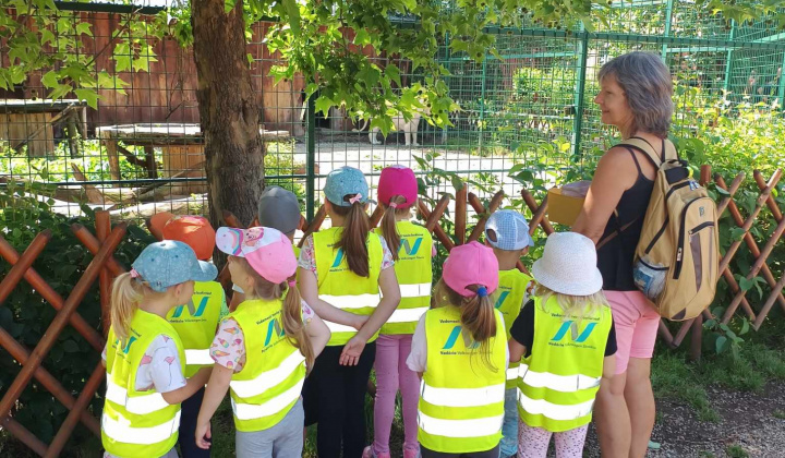 Aktuality / Výlet detí z MŠ Krškany-Pantherapark Turá - foto