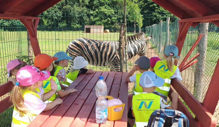 Aktuality / Výlet detí z MŠ Krškany-Pantherapark Turá - foto