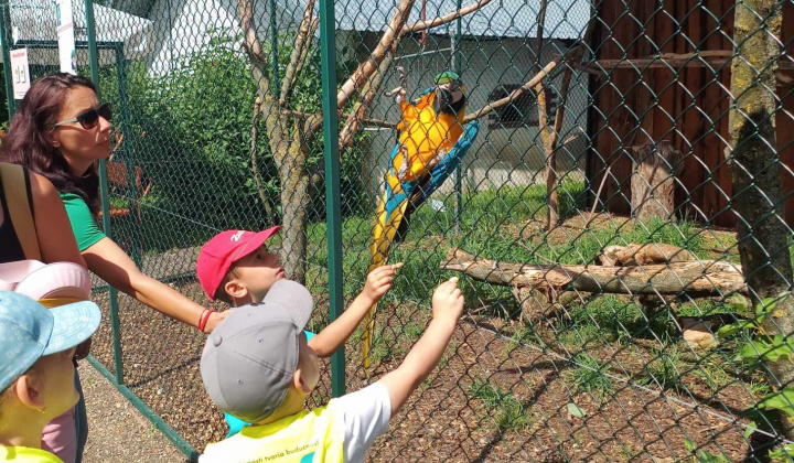 Aktuality / Výlet detí z MŠ Krškany-Pantherapark Turá - foto