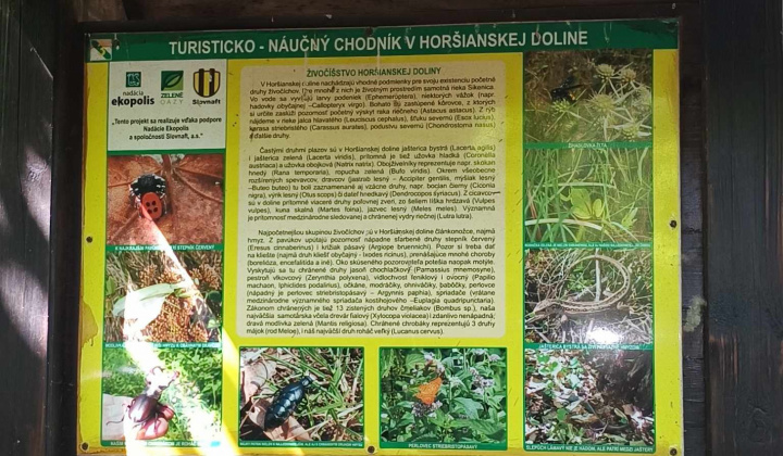 Aktuality / Deti z MŠ na výlete po našich chodníčkoch - foto