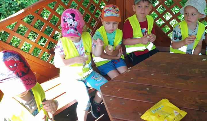 Aktuality / Deti z MŠ na výlete po našich chodníčkoch - foto