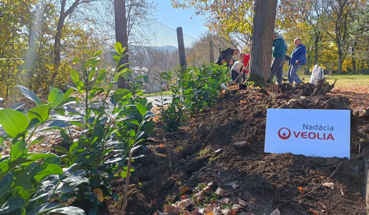 Aktuality / Sadili sme pre naše deti - foto