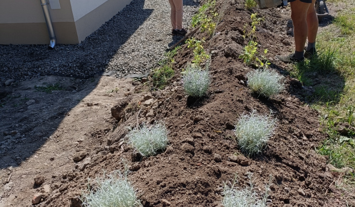 Aktuality / Úspešná realizácia projektu ''KOLOBEH ŽIVOTA'' - foto