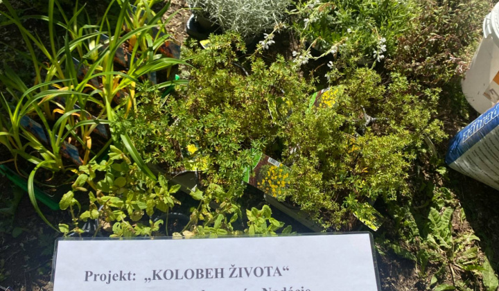 Aktuality / Úspešná realizácia projektu ''KOLOBEH ŽIVOTA'' - foto
