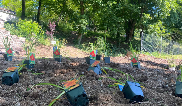 Aktuality / Úspešná realizácia projektu ''KOLOBEH ŽIVOTA'' - foto