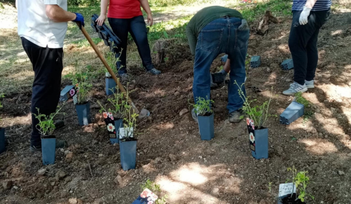 Aktuality / Úspešná realizácia projektu ''KOLOBEH ŽIVOTA'' - foto