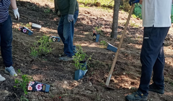 Aktuality / Úspešná realizácia projektu ''KOLOBEH ŽIVOTA'' - foto