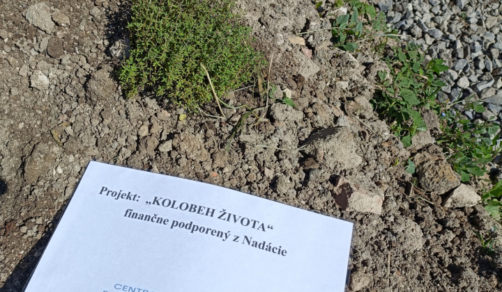 Aktuality / Úspešná realizácia projektu ''KOLOBEH ŽIVOTA'' - foto