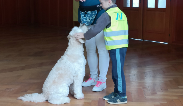 Aktuality / Canisterapia s Kvetkou potešila detičky našej obce - foto