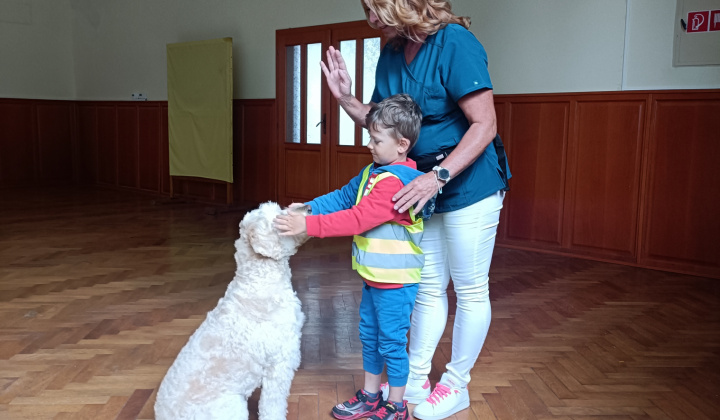 Aktuality / Canisterapia s Kvetkou potešila detičky našej obce - foto