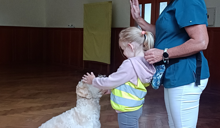Aktuality / Canisterapia s Kvetkou potešila detičky našej obce - foto