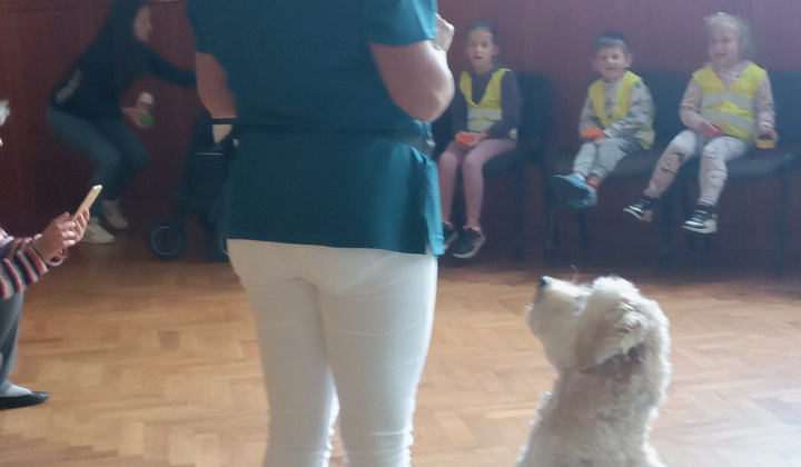 Aktuality / Canisterapia s Kvetkou potešila detičky našej obce - foto