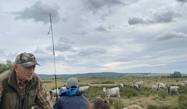 Aktuality / Takéto bolo leto v Krškanoch - foto