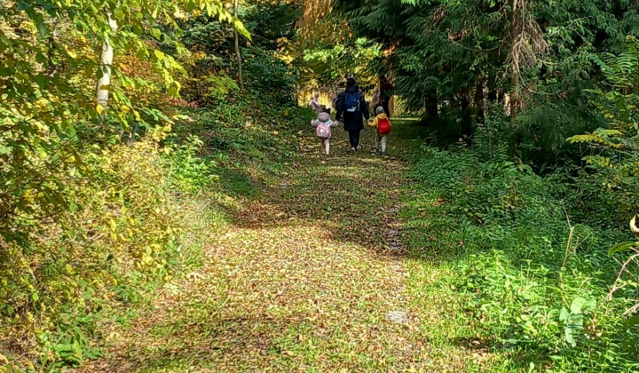 Aktuality / Navštívili sme Lesnícke arborétum Kysihýbel - foto