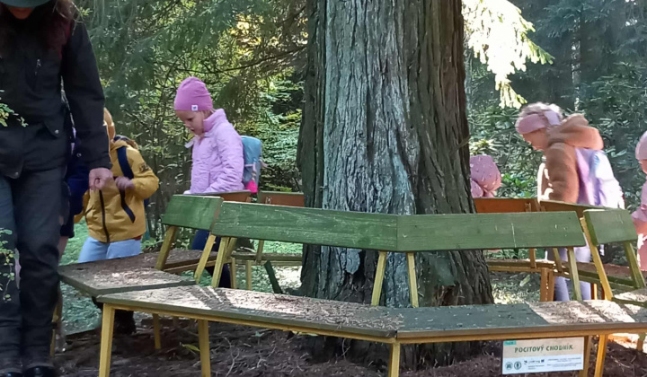 Aktuality / Navštívili sme Lesnícke arborétum Kysihýbel - foto