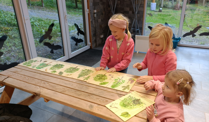 Aktuality / Navštívili sme Lesnícke arborétum Kysihýbel - foto