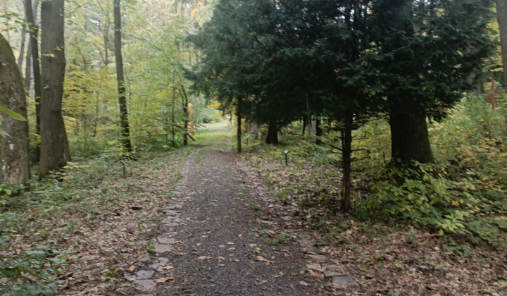 Aktuality / Navštívili sme Lesnícke arborétum Kysihýbel - foto