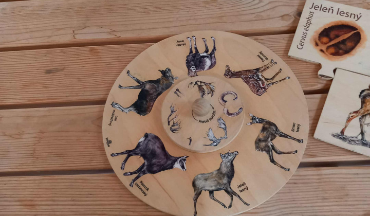 Aktuality / Navštívili sme Lesnícke arborétum Kysihýbel - foto