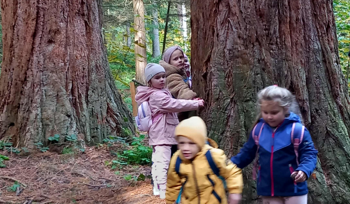 Aktuality / Navštívili sme Lesnícke arborétum Kysihýbel - foto