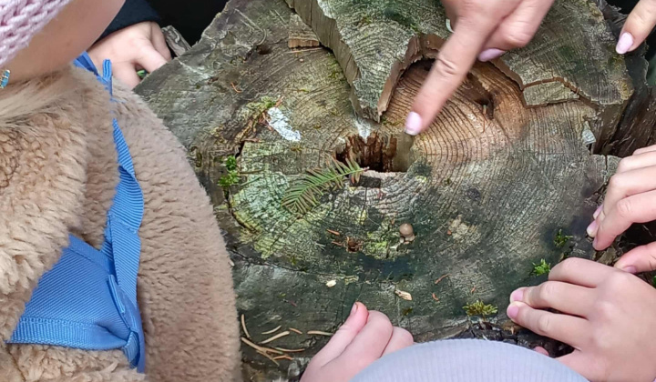 Aktuality / Navštívili sme Lesnícke arborétum Kysihýbel - foto