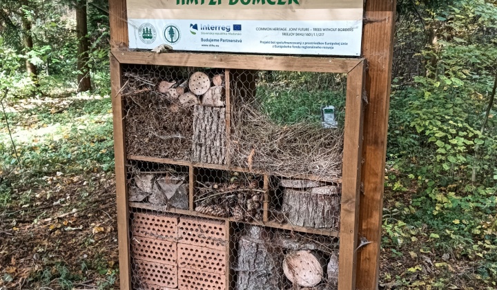 Aktuality / Navštívili sme Lesnícke arborétum Kysihýbel - foto