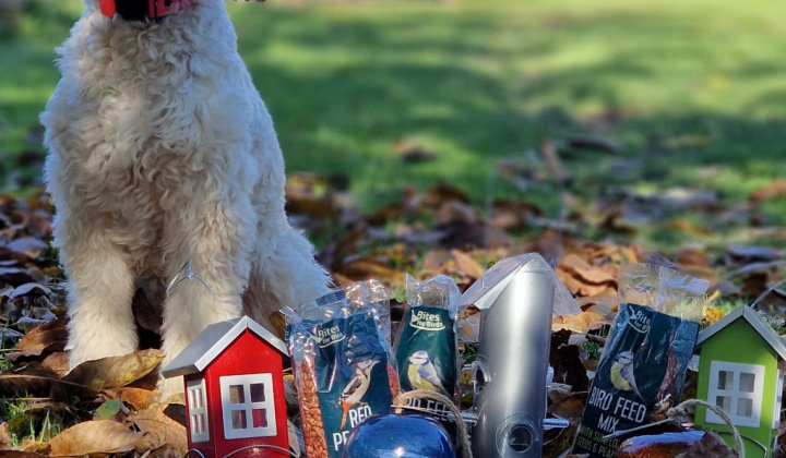 Aktuality / Vyhlasujeme súťaž o najkrajšiu fotografiu stromu - foto