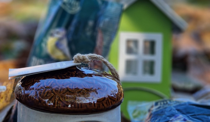 Aktuality / Vyhlasujeme súťaž o najkrajšiu fotografiu stromu - foto