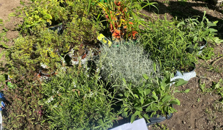 Aktuality / Ako sa z chátrajúcej obecnej budovy stala Lesná škola NATURA - foto