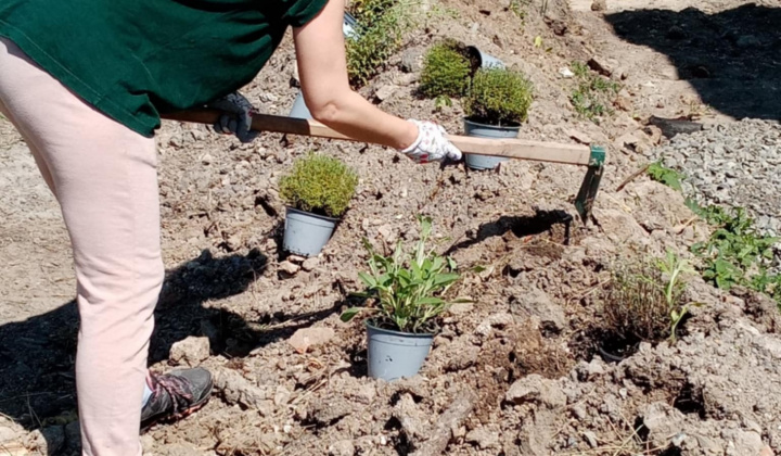 Aktuality / Ako sa z chátrajúcej obecnej budovy stala Lesná škola NATURA - foto