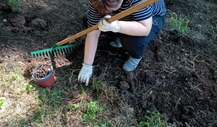 Aktuality / Ako sa z chátrajúcej obecnej budovy stala Lesná škola NATURA - foto