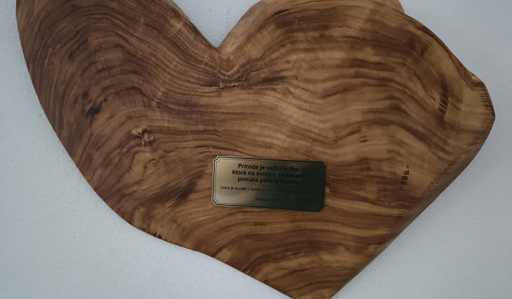 Aktuality / Ako sa z chátrajúcej obecnej budovy stala Lesná škola NATURA - foto