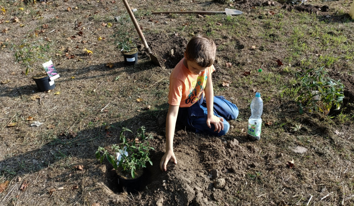 Aktuality / Ako sa z chátrajúcej obecnej budovy stala Lesná škola NATURA - foto