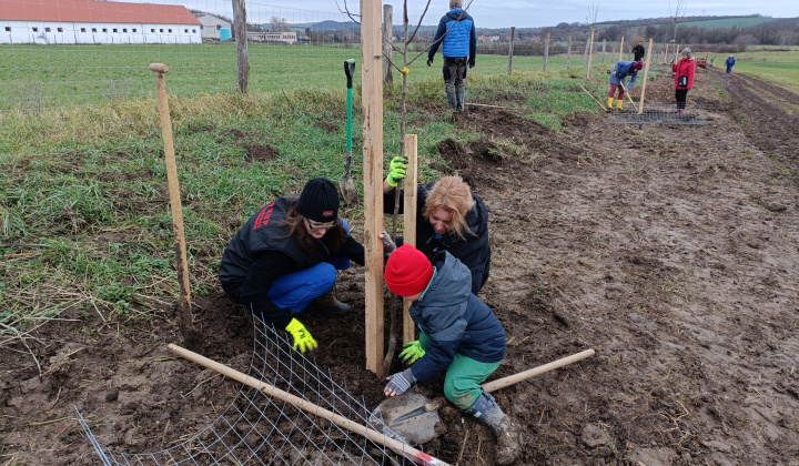 Cesta zdravia v Krškanoch  - 22.11.2025